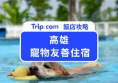 2025 高雄寵物友善住宿 Top 7 推薦!帶著毛孩出門旅行免煩惱