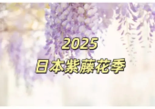 【2026日本紫藤花季】夢幻紫色花海!8大必訪日本賞花景點、開花時間、交通路線全攻略