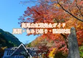 【高尾山 紅葉2025】高尾山紅葉の見頃はいつから?時期・もみじ祭り・ おすすめルート・混雑状況の完全ガイド