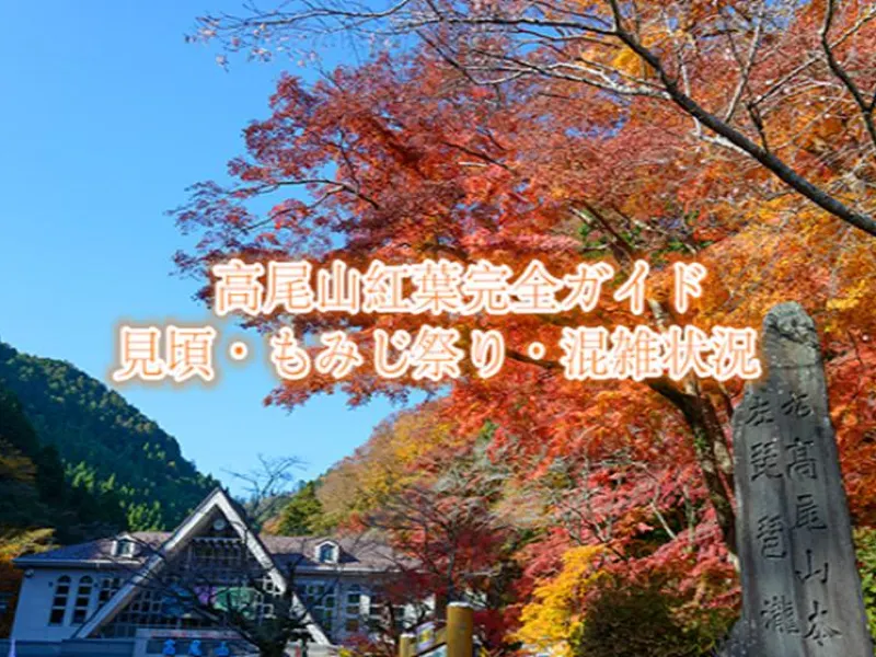 高尾山 紅葉2026】高尾山紅葉の見頃はいつから？時期・もみじ祭り