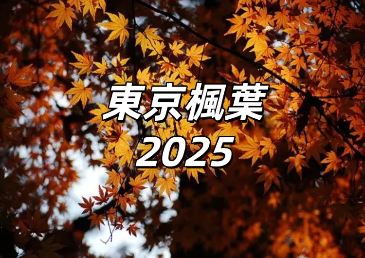 【東京楓葉2025】11月30日前後最佳賞楓期 ！17大景點、一日遊推介、住宿一篇搞定