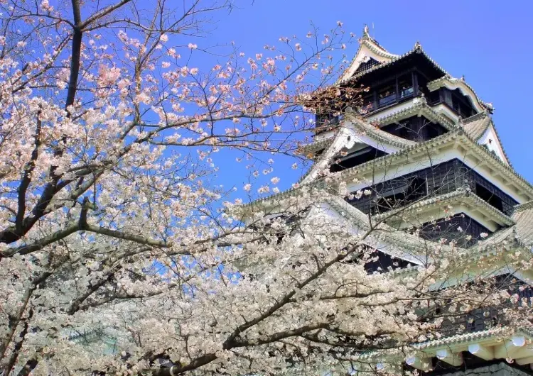 【熊本観光スポットおすすめ】必見観光スポット12選｜2025年熊本フリーツアー