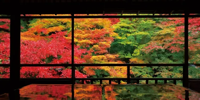 루리코인