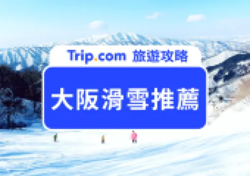 2026 大阪滑雪攻略|大阪滑雪場人氣推薦+交通住宿總整理,新手也能輕鬆玩雪!