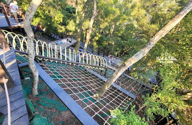 大坑 8 號步道＋風動石森林體驗空間（北屯區）