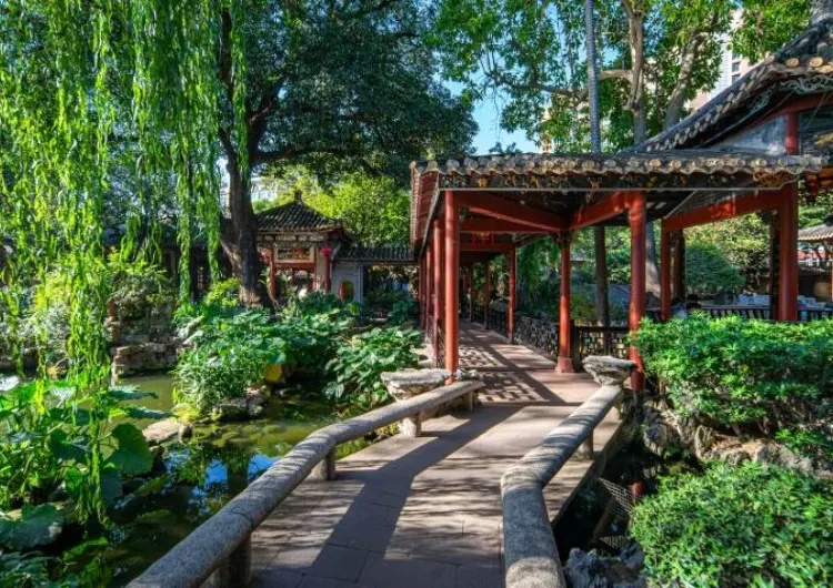 【順德好去處】2025順德遊玩攻略！附交通資訊、週邊美食