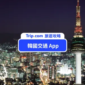 【2026 韓國交通 App】有這 6 款就夠了!韓國地圖、叫車、訂票一次搞定