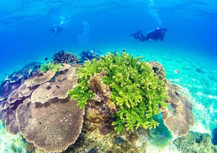 [Lingshui Free Travel] How to enjoy Lingshui travel in 4 days and 3 nights, a comprehensive itinerary planning package!