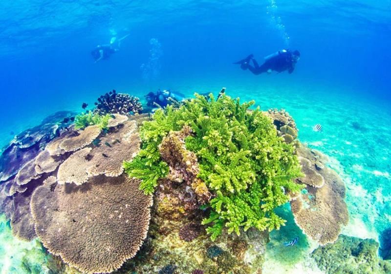 [Lingshui Free Travel] How to enjoy Lingshui travel in 4 days and 3 nights, a comprehensive itinerary planning package!