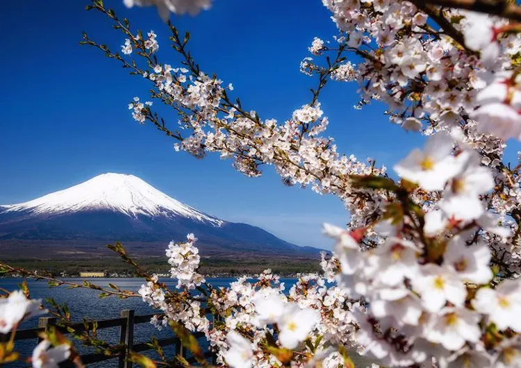 2024年日本の花火大会完全ガイド | 全国の花火大会の日程、場所、交通アクセス攻略