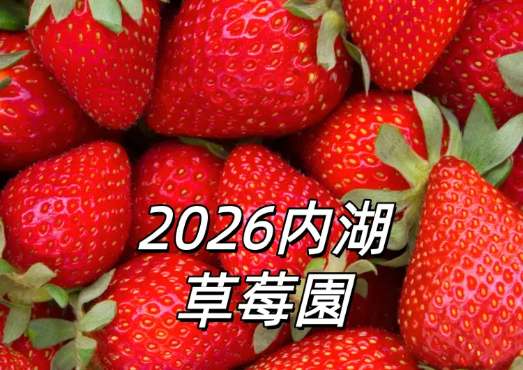 【內湖草莓園2026】又到一年草莓季，內湖摘草莓好去處盤點