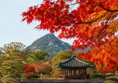 【2026 서울 단풍 명소】올가을 꼭 가봐야 할 단풍 구경 15곳