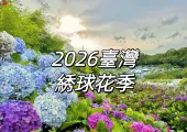 【2026臺灣繡球花季】繡球花賞花景點Top10大盤點,花期直击&攝影寶典全攻略!