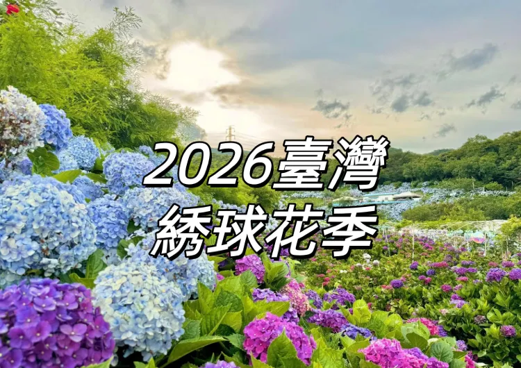 【2026臺灣繡球花季】繡球花賞花景點Top10大盤點,花期直击&攝影寶典全攻略!