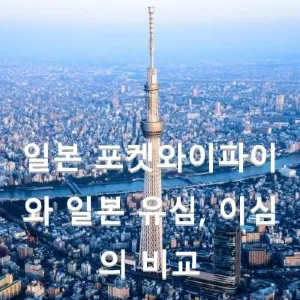 일본 포켓 와이파이와 일본 유심, 이심의 비교