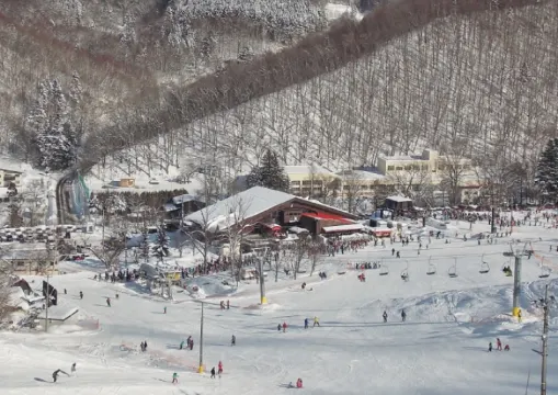 [일본 스키 여행] 2026 일본 스키장 추천 20곳! 삿포로 스키장부터 도쿄 근교 스키장까지 운영시간&준비물&숙소 총정리