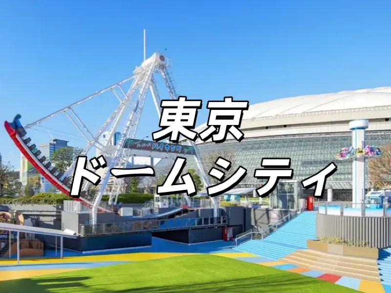 巨人対中日 8月23日（金）18時 スカイシートB 東京ドーム