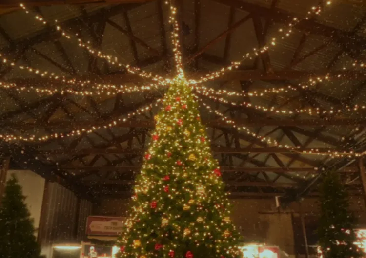 [크리스마스 축제 2025] 전국 크리스마스 마켓·공연·축제 총정리 : 서울&부산&대전&제주 등 12월 겨울 야경 가볼만한 곳