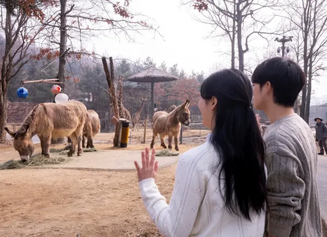 할로윈데이 에버랜드