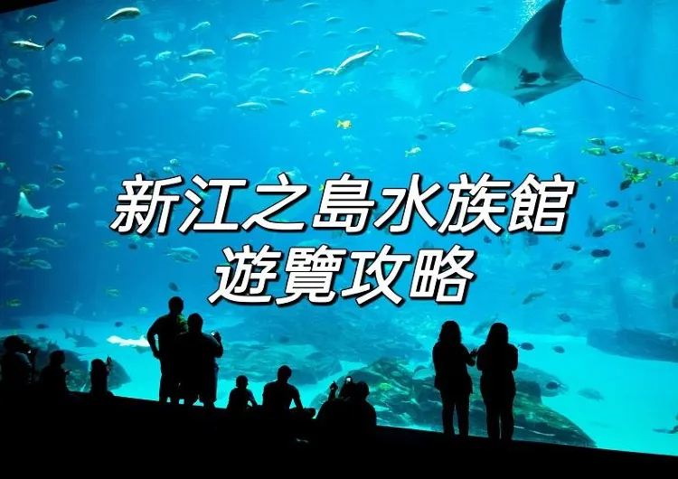 【新江之島水族館】2026最新日本新江之島水族館攻略|門票&交通&周邊美食