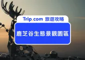 2026鹿芝谷生態景觀園區全攻略|交通路線、門票優惠、必看可愛小動物、多肉DIY及下午茶體驗