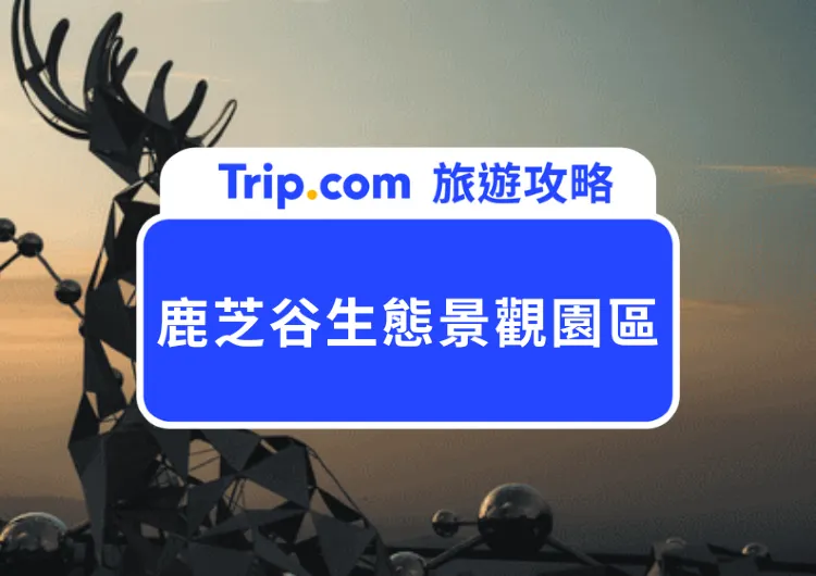 2025鹿芝谷生態景觀園區全攻略｜交通路線、門票優惠、必看可愛小動物、多肉DIY及下午茶體驗