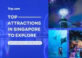 Top Attractions in Singapore to Explore: A Complete Guide