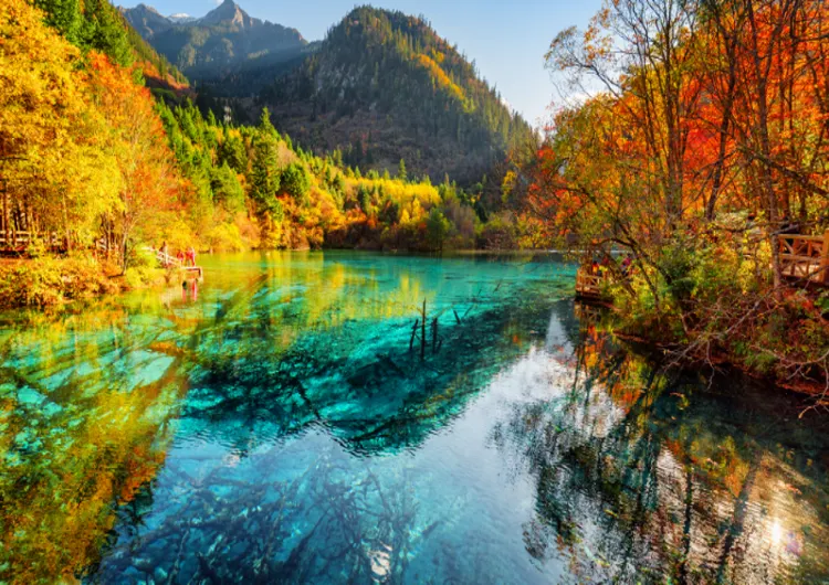 Travel to China from Singapore 2026: Top Places & Key Things to Know