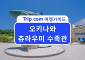 2026 오키나와 여행 필수 코스!  '츄라우미 수족관' 완벽 가이드 | 입장료, 돌고래쇼, 맛집, 할인코드까지