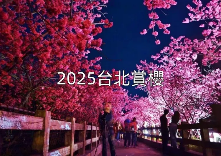 【2025台北賞櫻】台北十大最佳賞櫻好去處，賞櫻景點/時間全攻略！