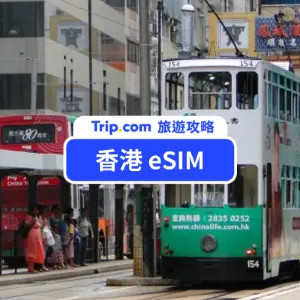 【香港 eSIM】1-30 天吃到飽優惠組合、安裝教學、優缺點總整理