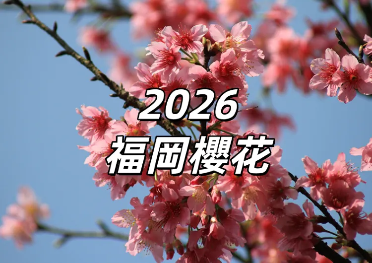 【2026福岡櫻花】福岡預測櫻花3月下旬開放,15大福岡賞櫻花景點盤點!