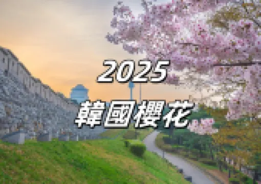 【2025韓國櫻花】韓國櫻花季,粉色花海中的詩意時光,3月韓國櫻花首爾、釜山、瀘州島等櫻花盤點資訊全打包推介!