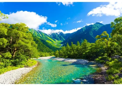 【みどりの日2025】みどりの日はとは？自然と触れ合うゴールデンウィークの休日を楽しもう