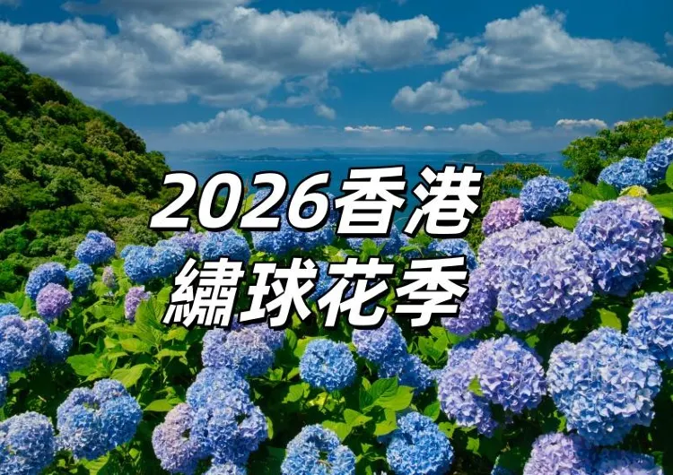 【2026香港繡球花季】2026繡球花賞花景點Top12大盤點,花期實況&攝影秘籍全攻略!