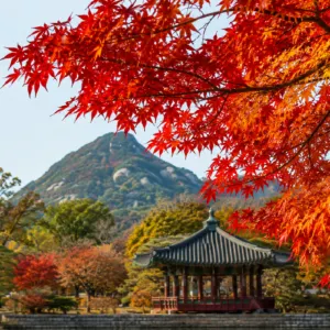【2026 서울 단풍 명소】올가을 꼭 가봐야 할 단풍 구경 18곳