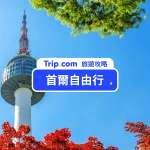 【首爾自由行2026】韓國首爾行程景點、交通費用、美食手信全攻略 | 附五天四夜行程規劃