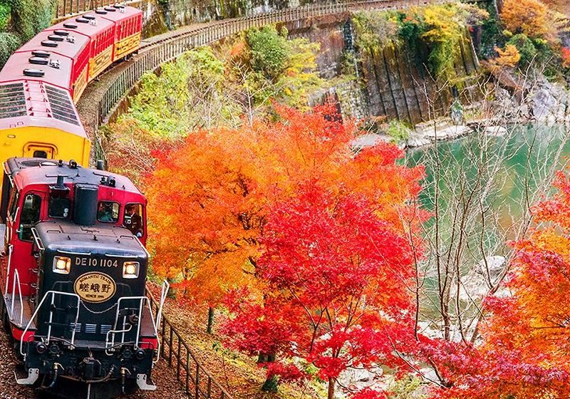 【京都紅葉2026】紅葉の見頃はいつ？まもなく見頃入り｜名所ランキング・穴場15選・ライトアップ・ホテル・着物レンタル完全ガイド
