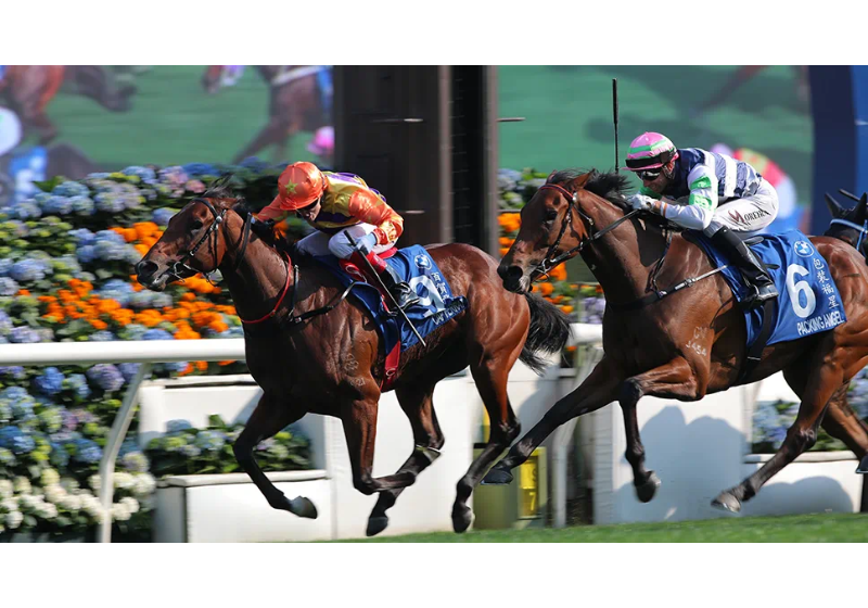 競馬レーシングカレンダー】2025年4月皐月賞、桜花賞から穴馬