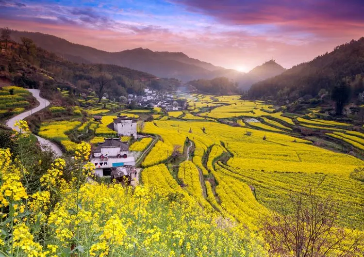 [Wuyuan Free Travel] How to enjoy Wuyuan travel in 2 days and 1 night, a comprehensive itinerary planning package!