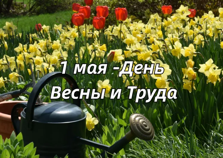 1 мая 2026: история праздника, суть и где отмечают Праздник весны и труда