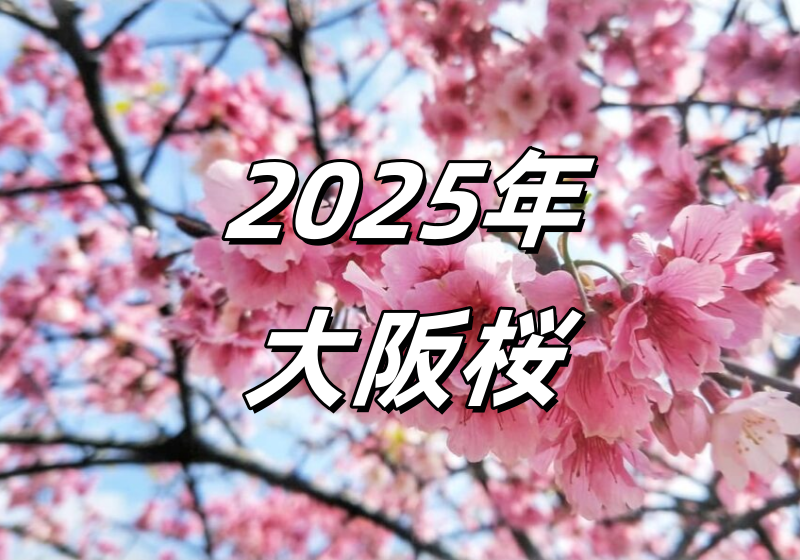 厳選🌸大阪の花見・桜名所　お花見におすすめのスポット🌸 開花・満開 予測一覧！