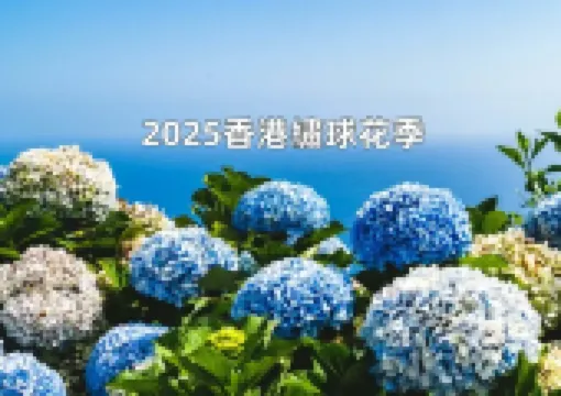 【2025香港繡球花季】2025繡球花賞花景點Top12大盤點,花期實況&攝影秘籍全攻略!