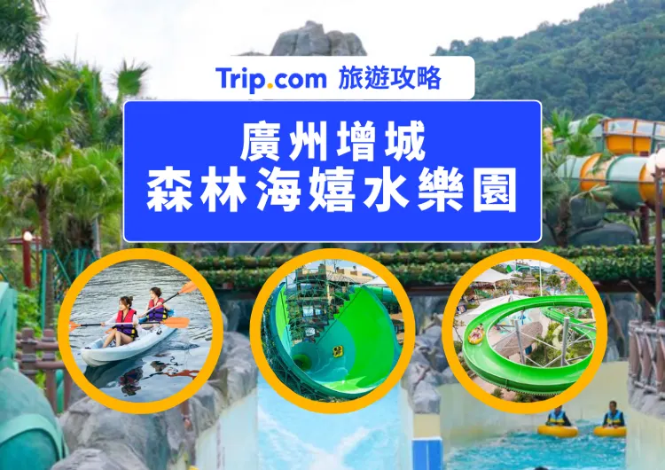 廣州森林海嬉水樂園遊玩攻略：2025年清涼一夏的完美指南