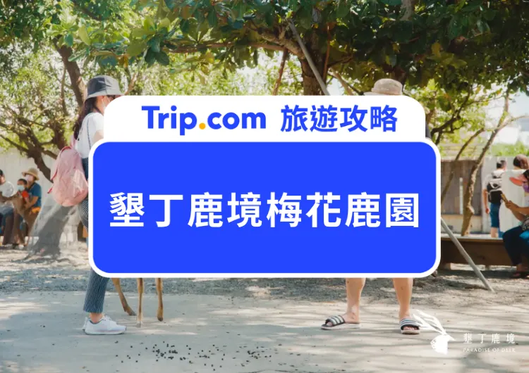 來到2025台版小奈良：墾丁鹿境梅花鹿園全攻略，交通門票一起看：梅花鹿、水豚君都在這！