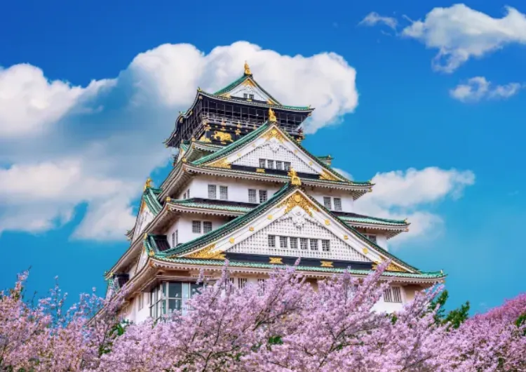 [2025 오사카 자유여행] 일본 오사카 4박 5일 여행 예상 경비, 맛집, 여행 일정, 교통편 가이드