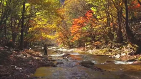 오대산