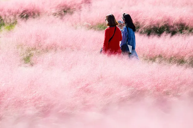 大渚生態公園
