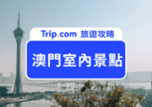 下雨也不用怕!2026澳門十大必訪室內景點|TeamLab、新濠影滙全都有