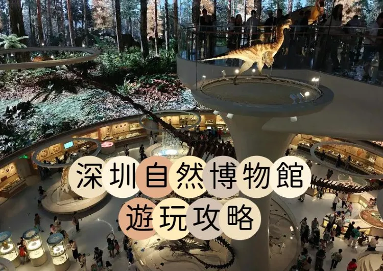 【深圳好去處2026】7月28日深圳自然博物館正式開館,必睇大恐龍!過關路線、門票預約、展區打卡一次睇晒
